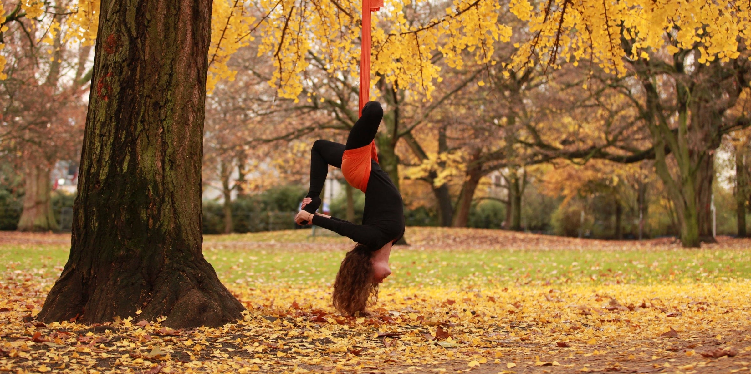 Yogalaxy - Mit Aerial Yoga fit durch den Herbst